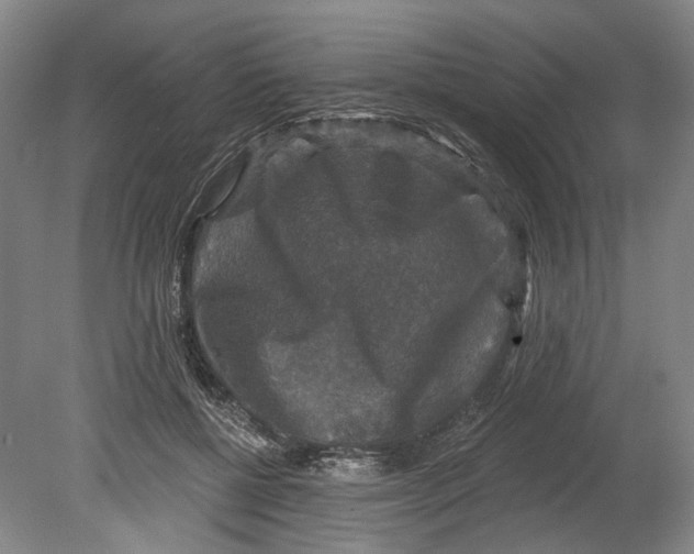 X0000080690552200701051103