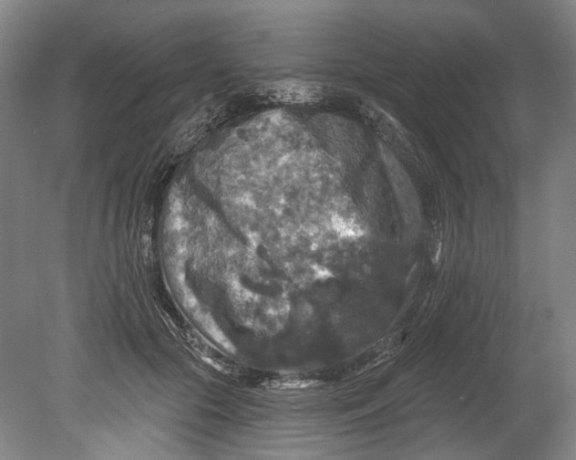 X0000080690553200701051103