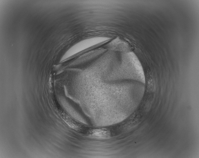 X0000080690555200701051103