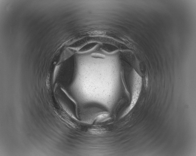 X0000080690556200701051103