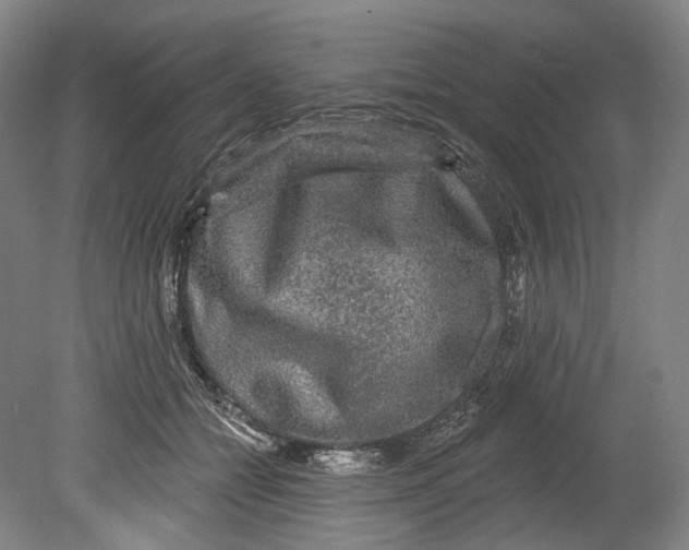 X0000080690558200701051103