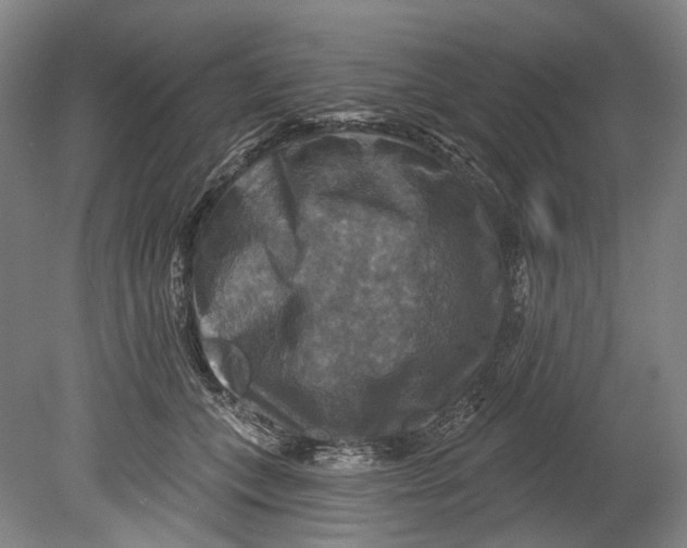 X0000080690559200701051103