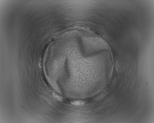 X0000080690561200701051103