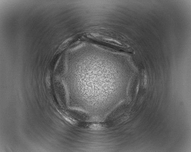X0000080690562200701051103