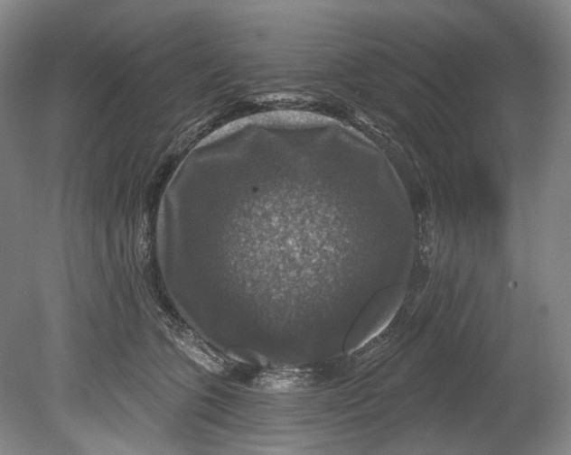 X0000080690563200701051103