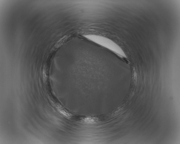 X0000080690566200701051103