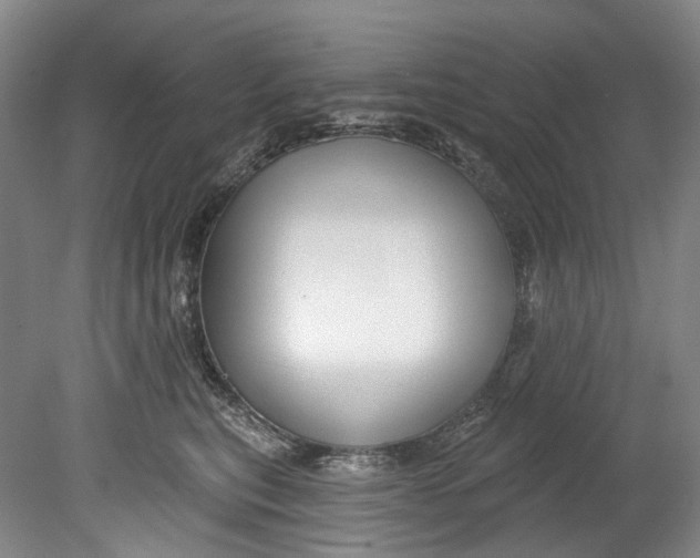 X0000080690567200701051103