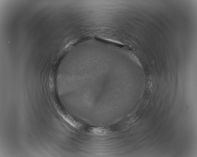 X0000080690568200701051103