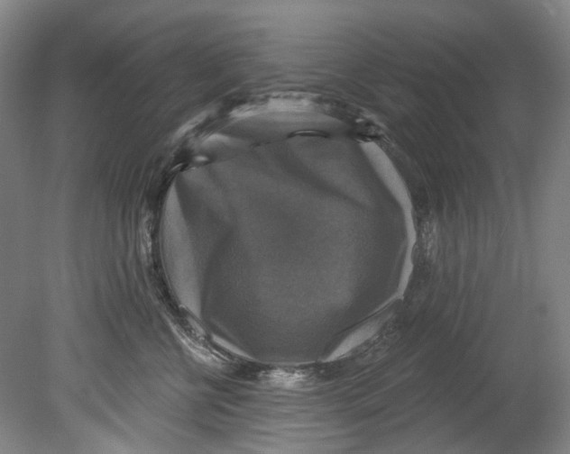 X0000080690570200701051103