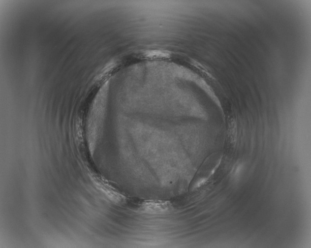 X0000080690571200701051103