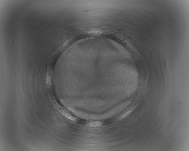 X0000080690576200701051103