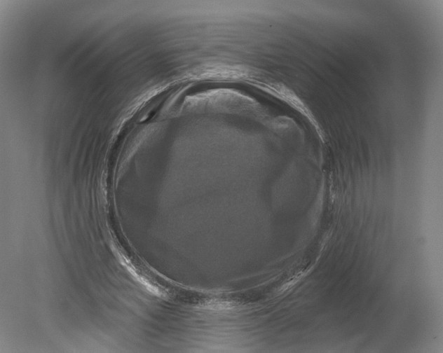X0000080690581200701051102