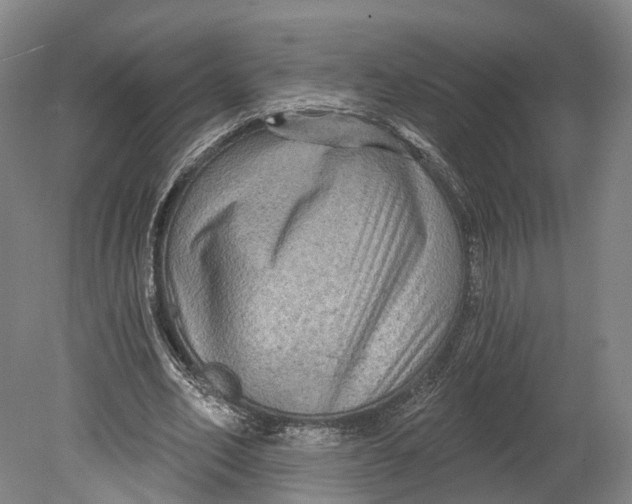 X0000080690582200701051102