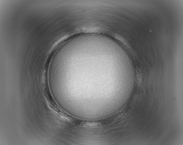 X0000080690583200701051102