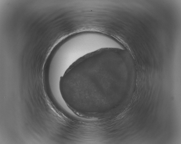 X0000080690584200701051102