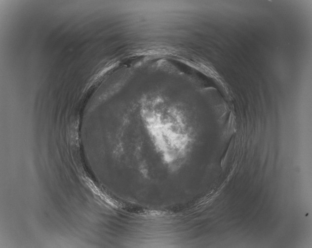 X0000080690585200701051102