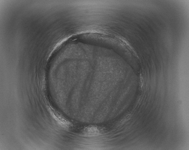 X0000080690588200701051102