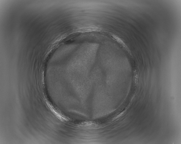 X0000080690589200701051102