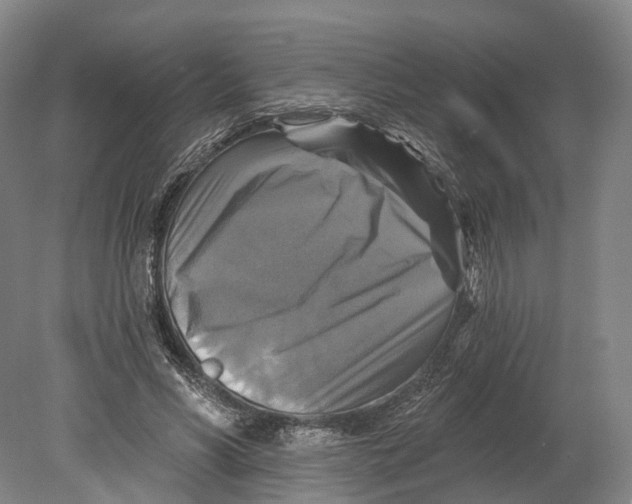 X0000080690590200701051102