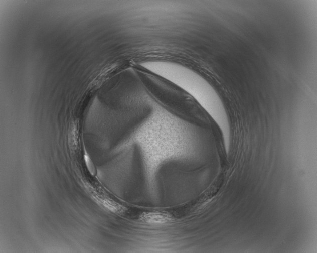 X0000080690597200701051102