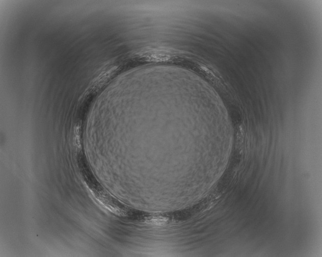 X0000080690598200701051102