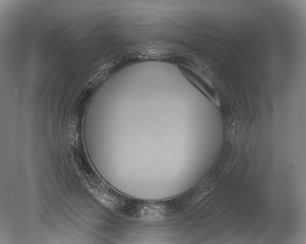 X0000080690599200701051102