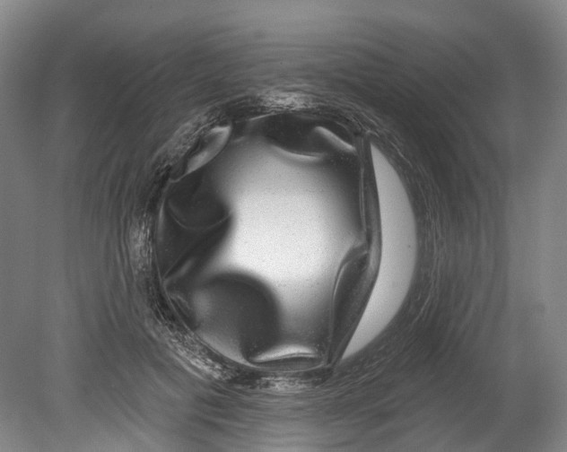 X0000080690601200701051102