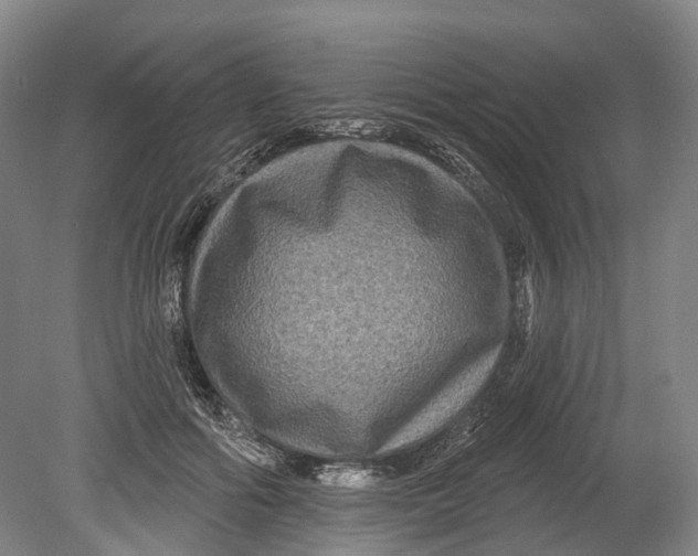 X0000080690602200701051102