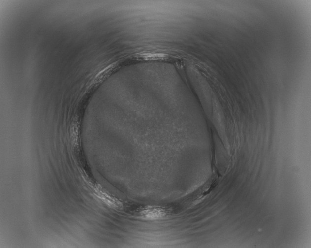 X0000080690604200701051102
