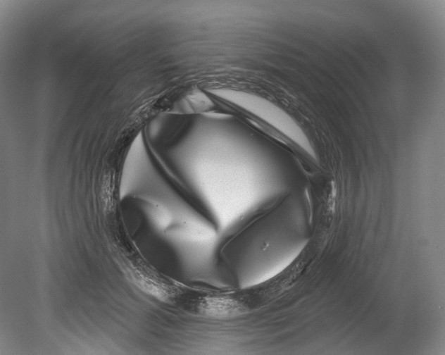 X0000080690605200701051102