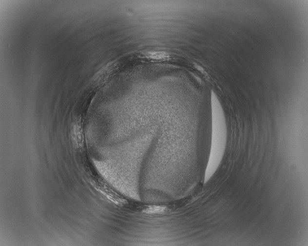 X0000080690609200701051102
