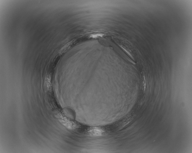 X0000080690610200701051102