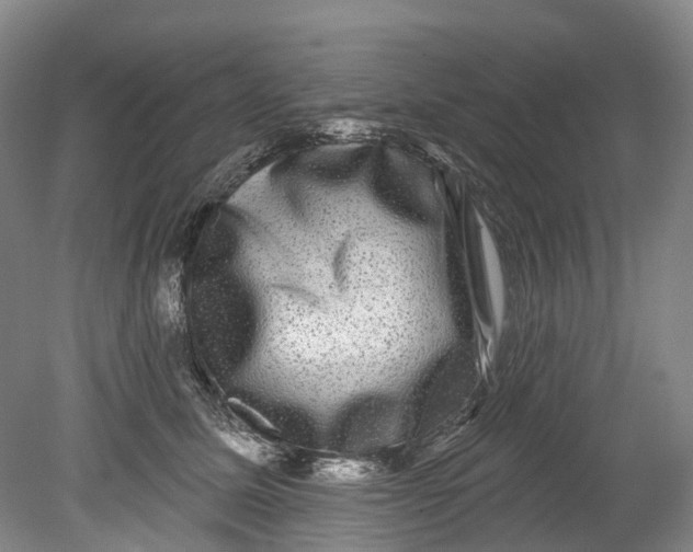 X0000080690611200701051102