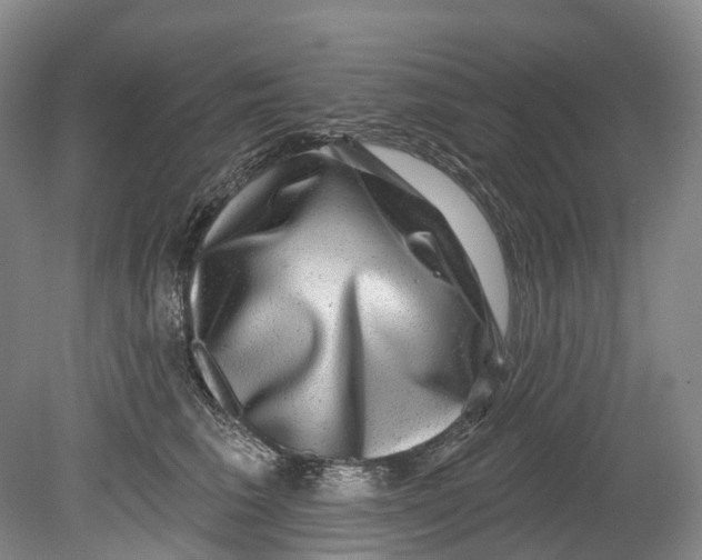 X0000080690613200701051102