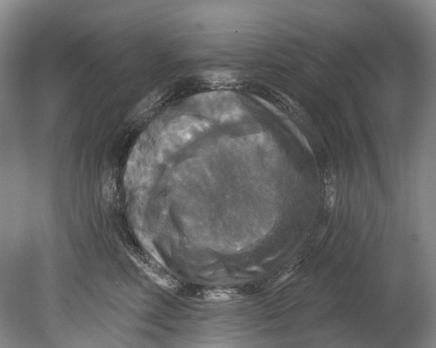 X0000080690618200701051102