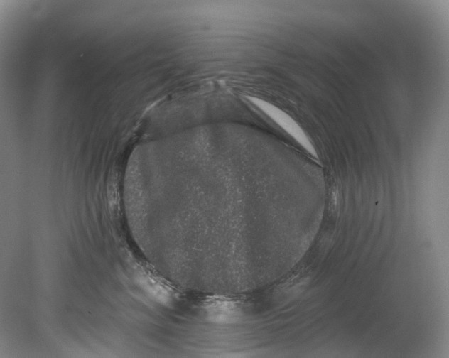 X0000080690620200701051102