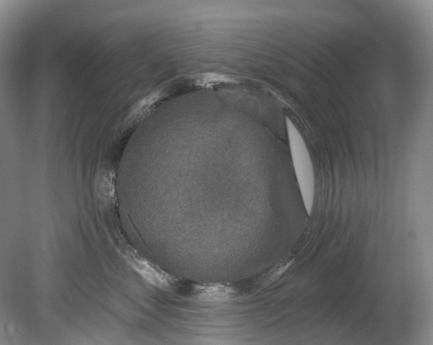 X0000080690621200701051102