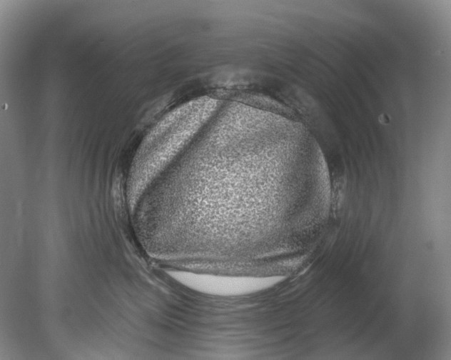X0000080690623200701051102
