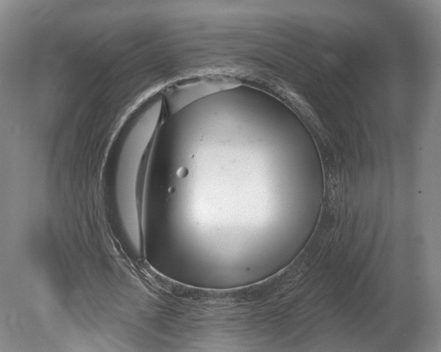 X0000080690628200701051101