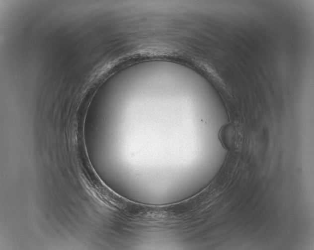 X0000080690631200701051101