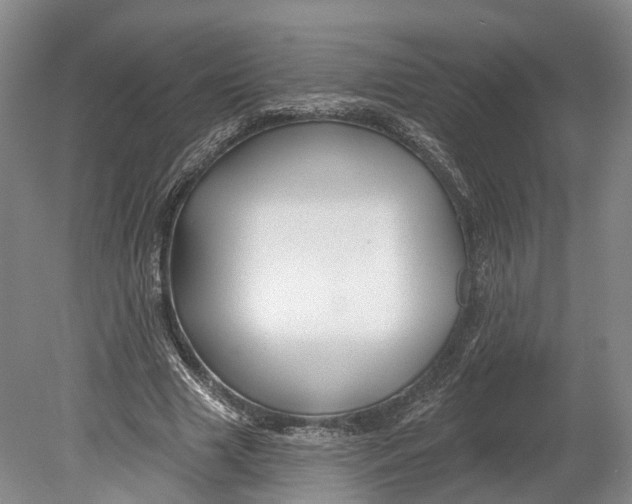 X0000080690633200701051101