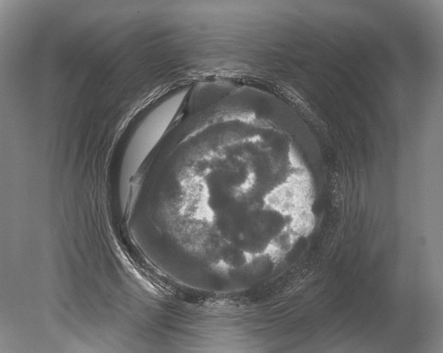 X0000080690634200701051101