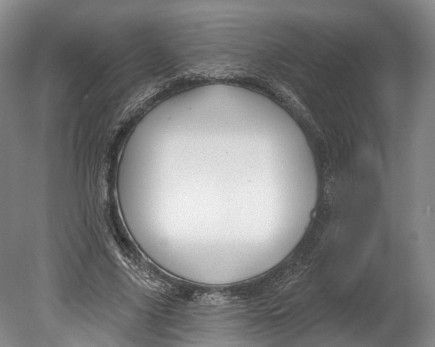 X0000080690635200701051101