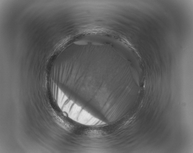 X0000080690637200701051101