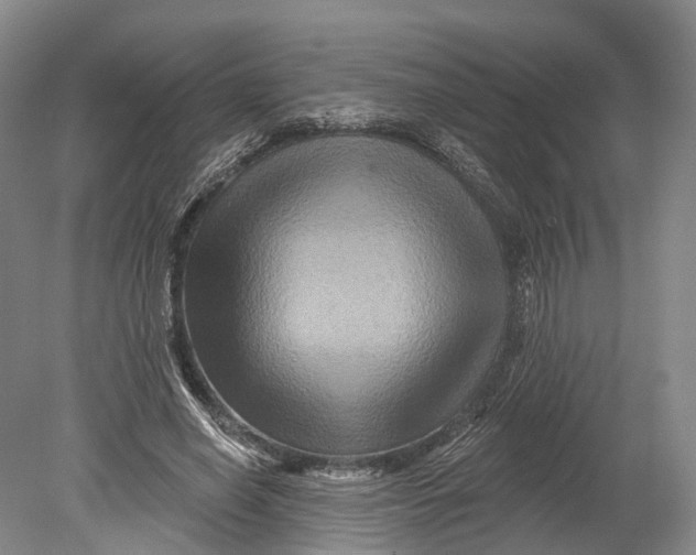 X0000080690638200701051101