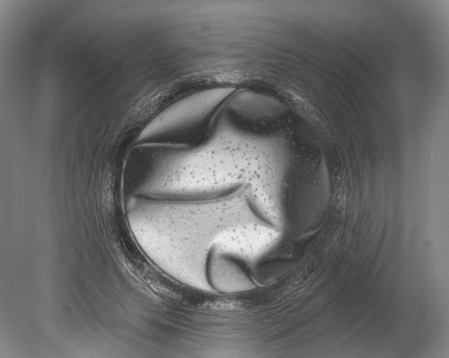 X0000080690639200701051101