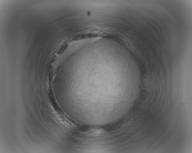 X0000080690642200701051101