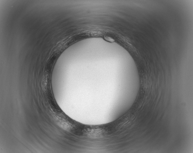 X0000080690645200701051101