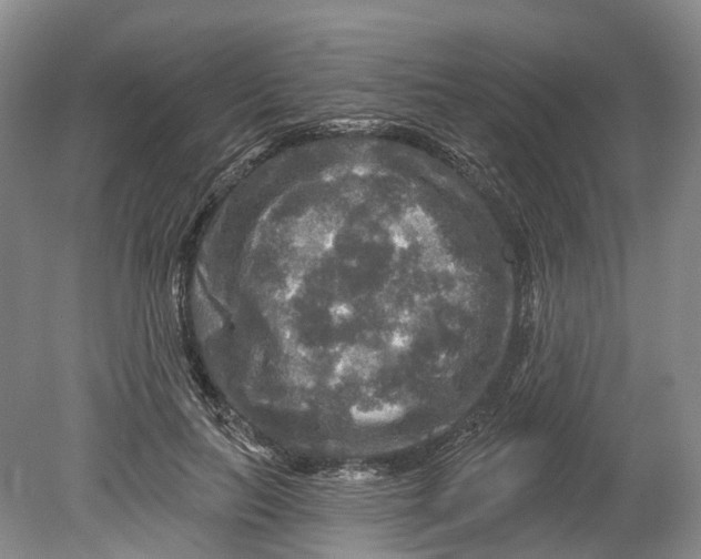 X0000080690647200701051101