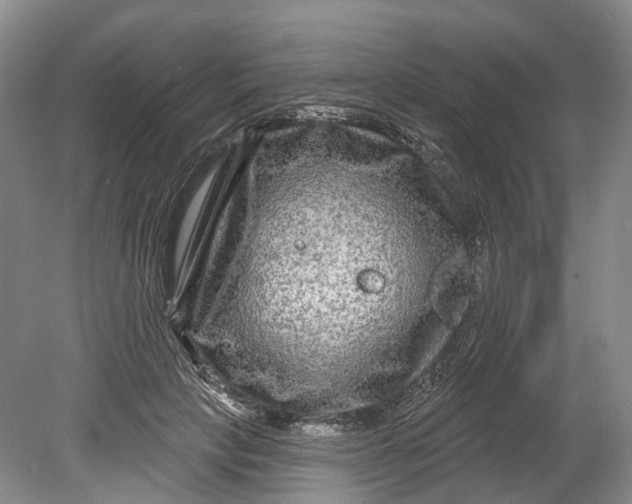 X0000080690649200701051101